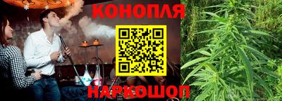 PSILOCYBIN Бугуруслан