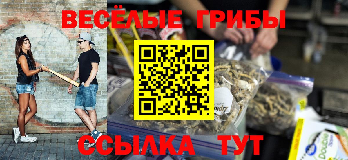 Артём  Псилоцибиновые грибы ЛСД  Вход с VPN 
