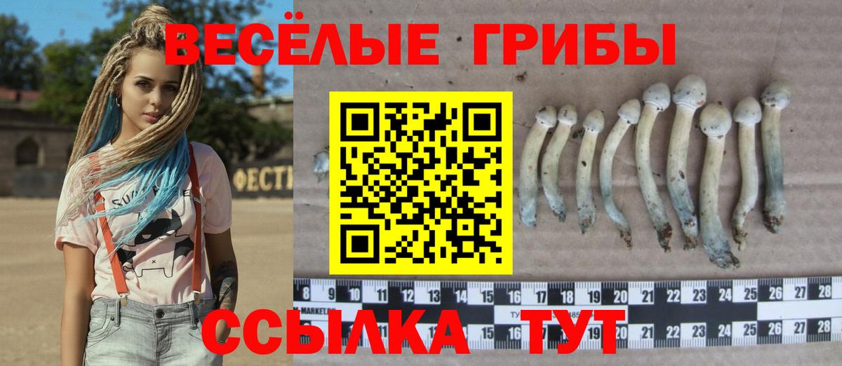 Галлюциногенные грибы MAGIC MUSHROOMS Артём